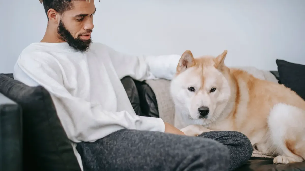 A dog lying down on a rug while its owner kneels nearby holding a treat