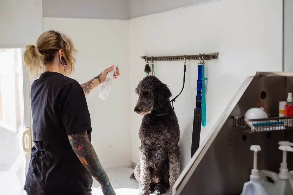 A dog owner completing payment at a grooming salon front desk