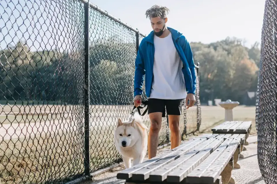 A dog owner practicing a loose-leash walk past a park bench distraction