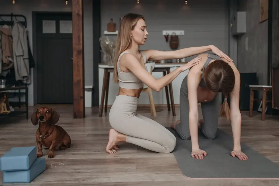 A trainer working one-on-one with a dog and its owner indoors