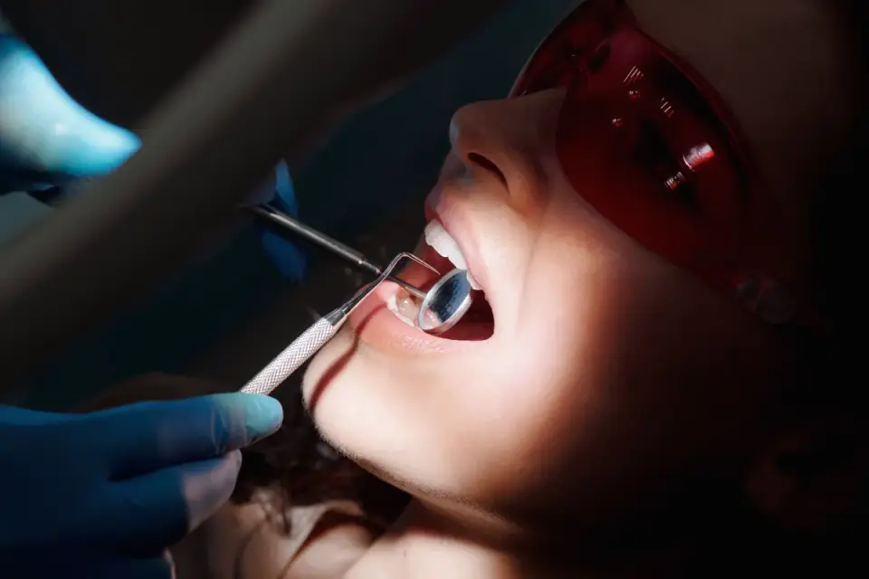 A veterinarian gently checking a dog&#x27;s gum color during an exam