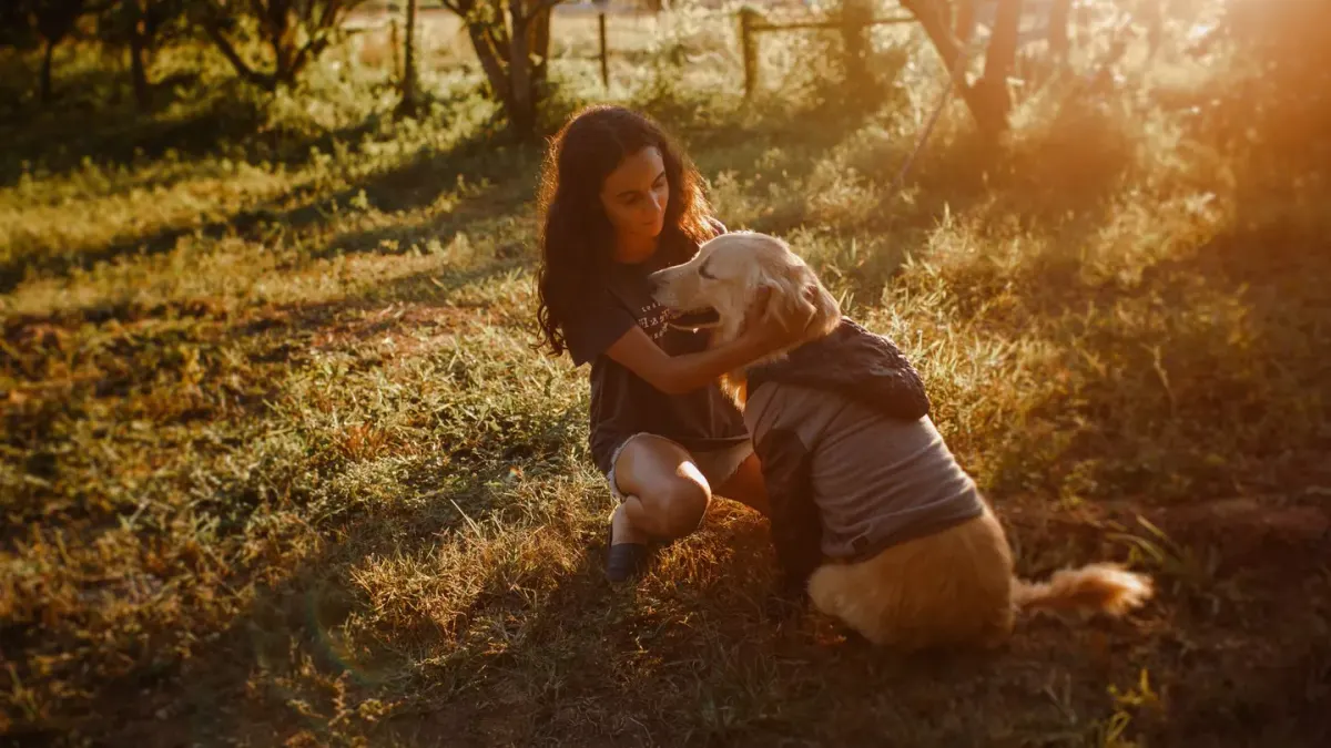 A woman kneeling on a kitchen floor brushing a golden retriever's coat