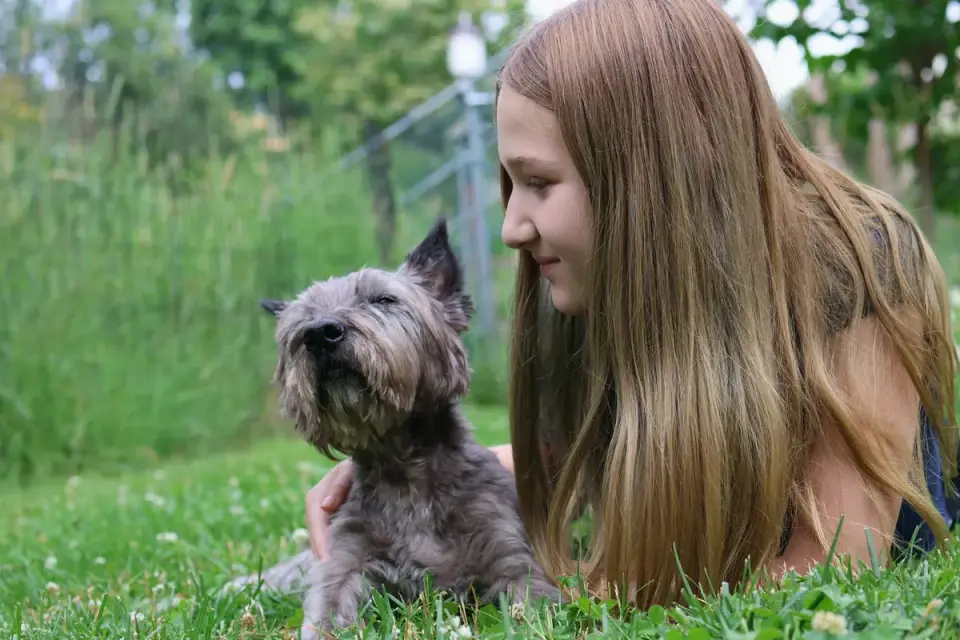 Dog and owner together