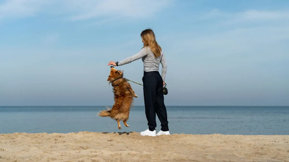Dog and owner together