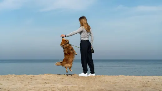 Dog and owner together
