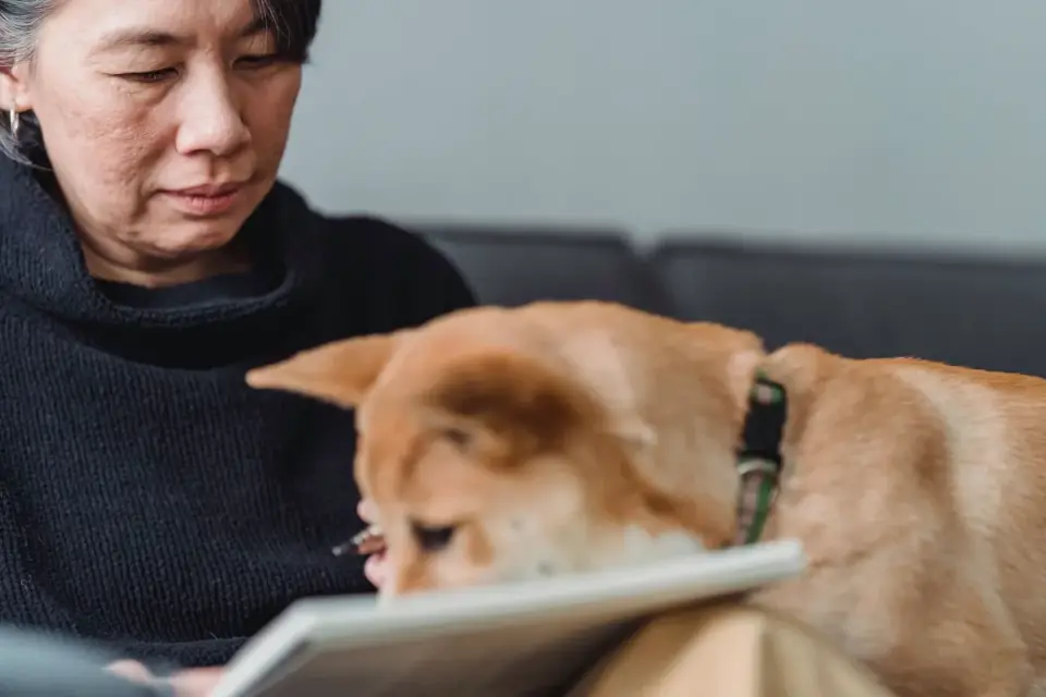 Dog and owner together