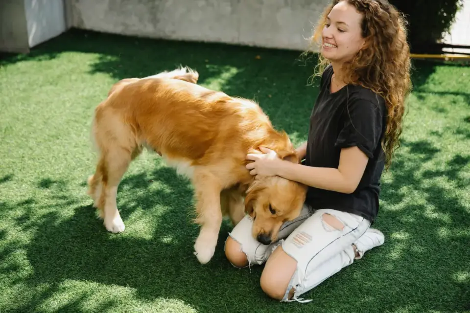 Dog and owner together