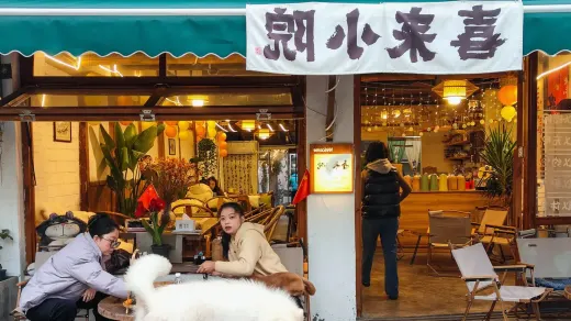 Dog at an outdoor cafe