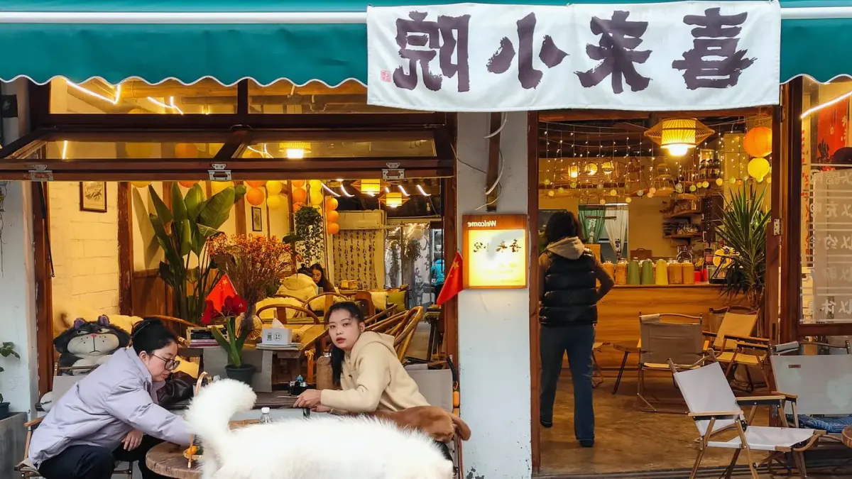 Dog at an outdoor cafe