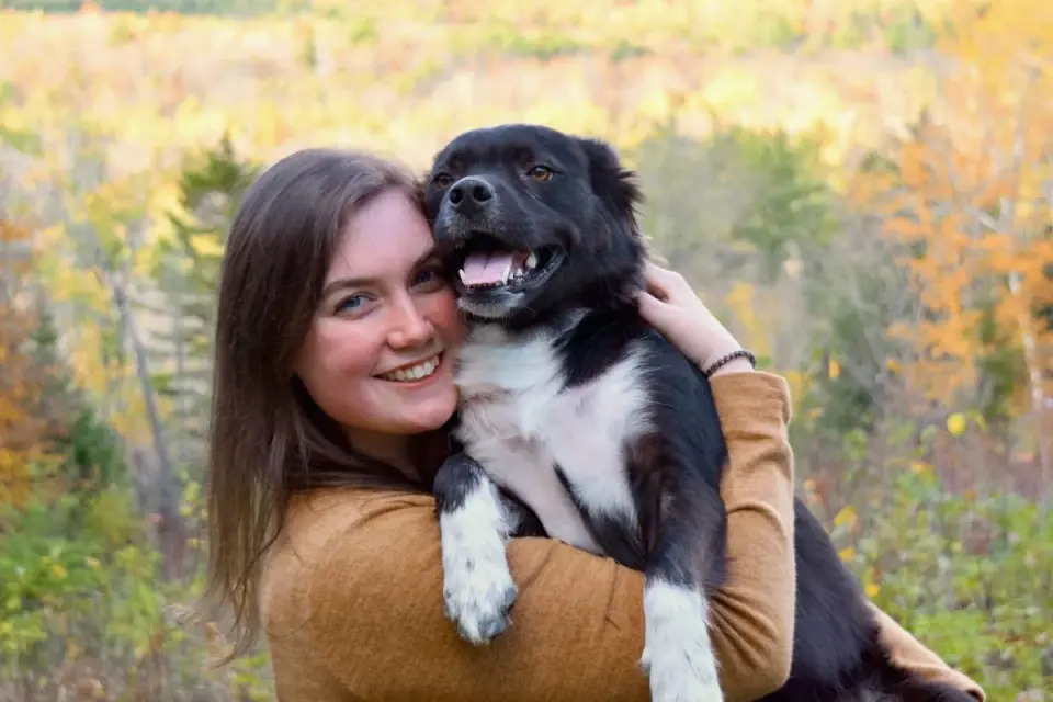 Dog being hugged by owner