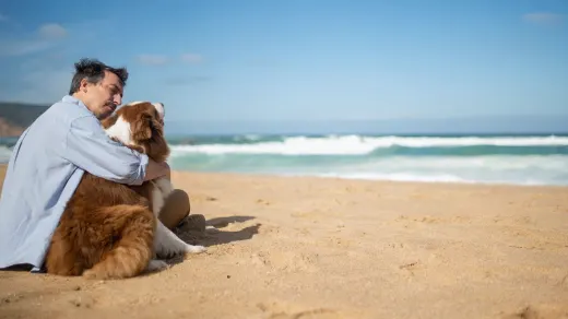 Dog being hugged by owner