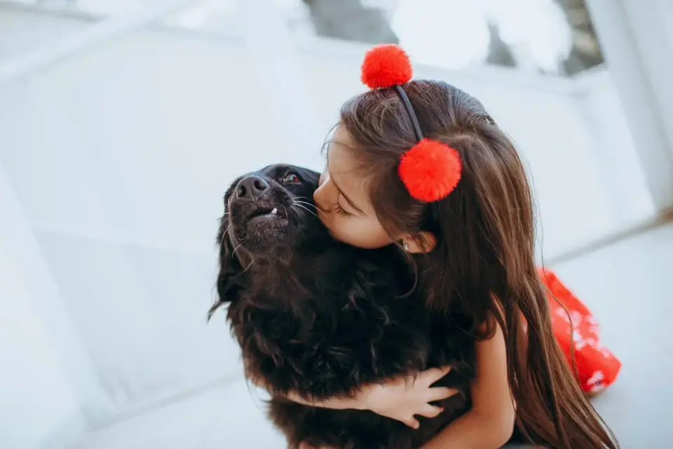 Dog being hugged by owner
