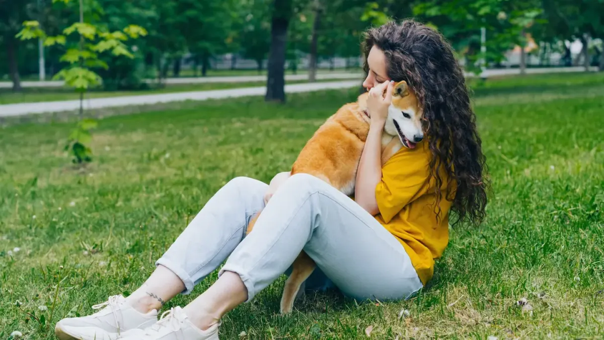 Dog being hugged by owner