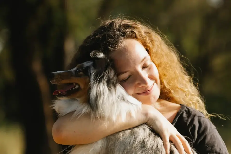 Dog being hugged by owner