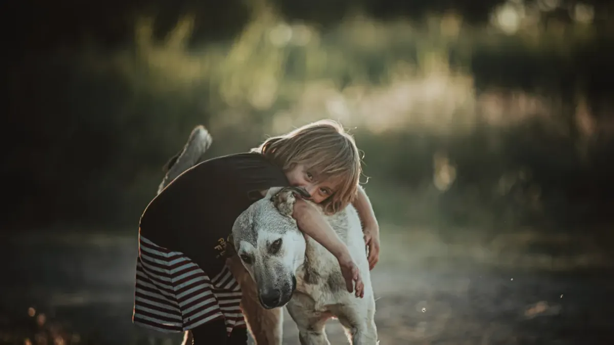 Dog being hugged by owner