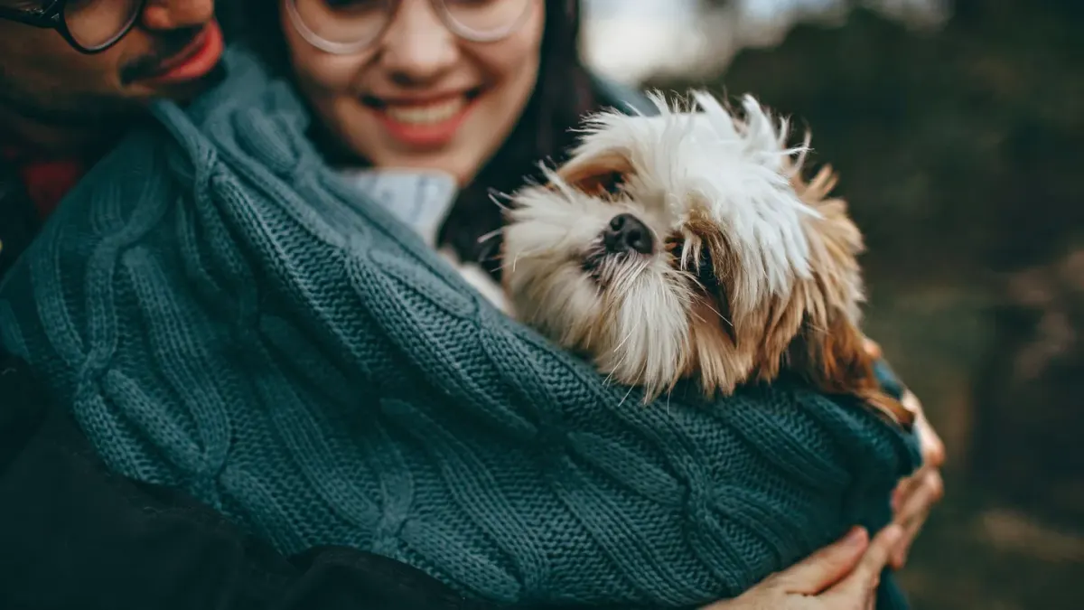 Dog being hugged by owner
