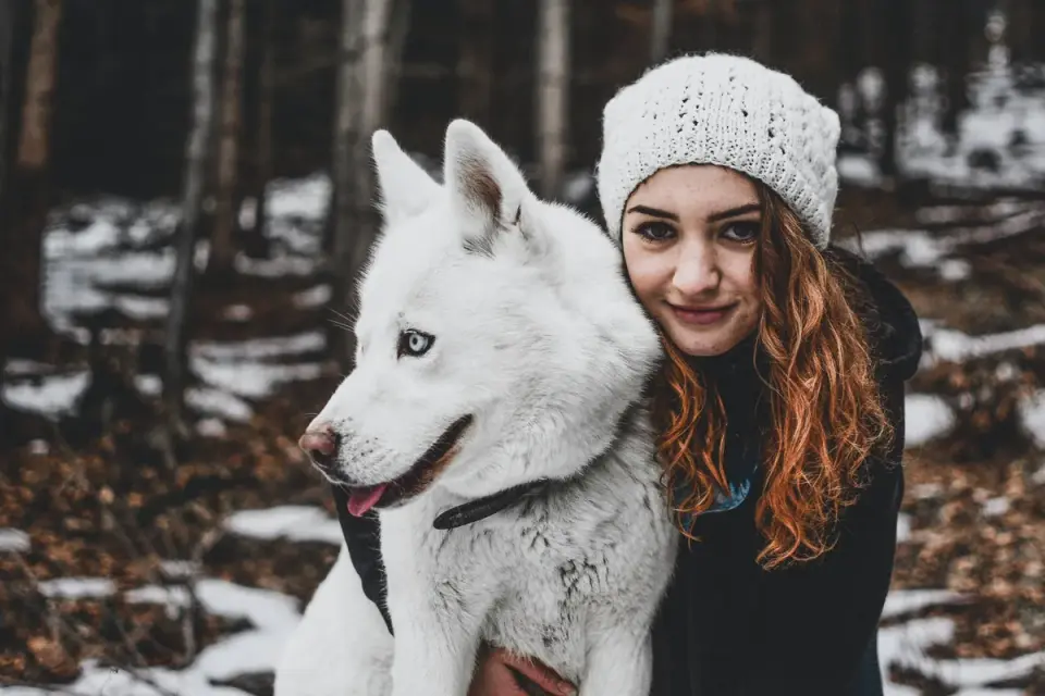 Dog being hugged by owner