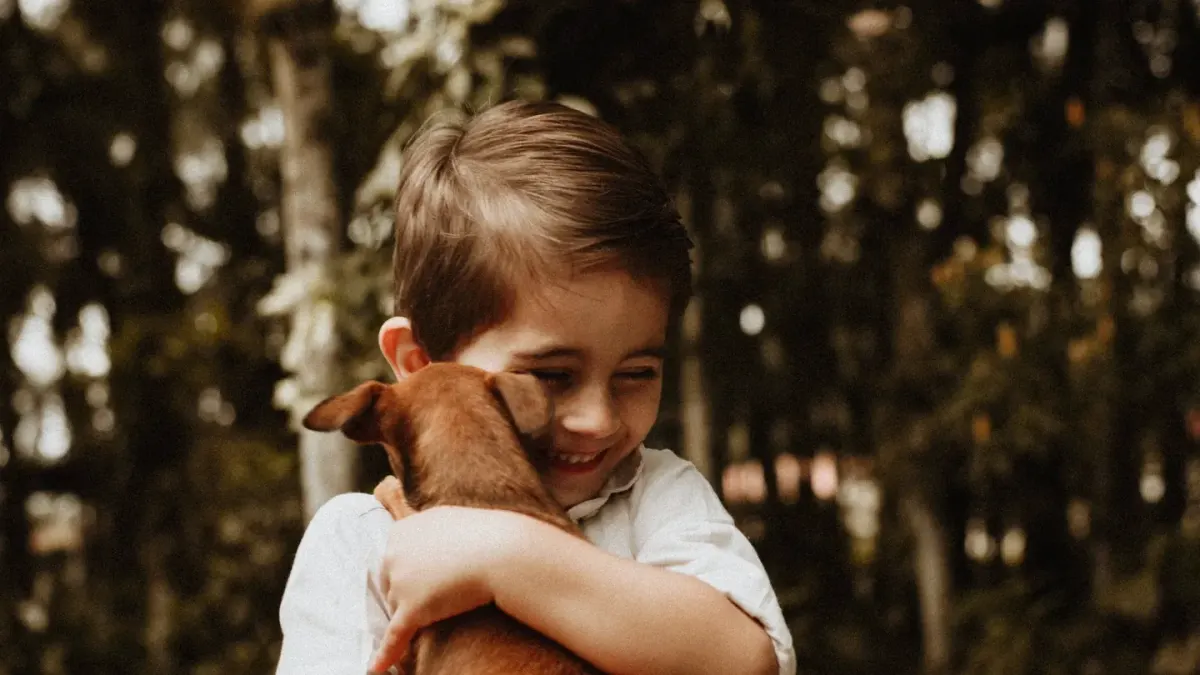 Dog being hugged by owner