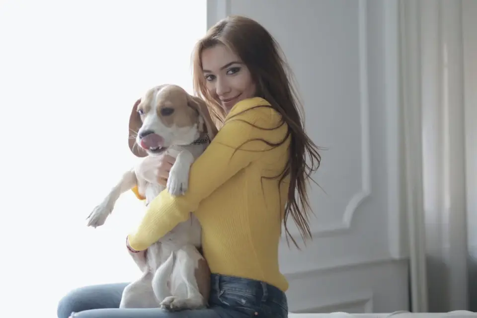 Dog being hugged by owner