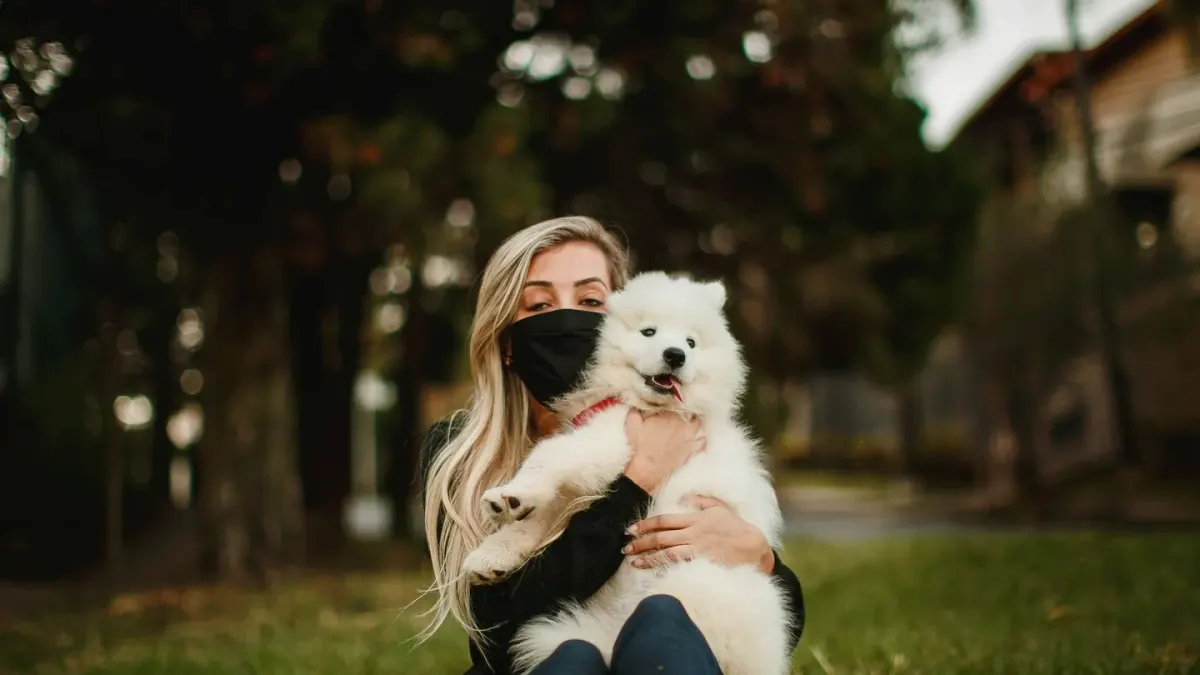 Dog being hugged by owner