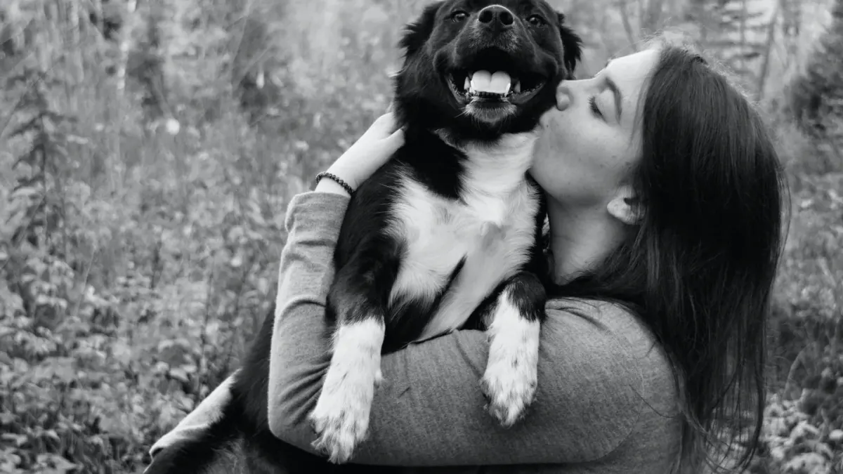 Dog being hugged by owner