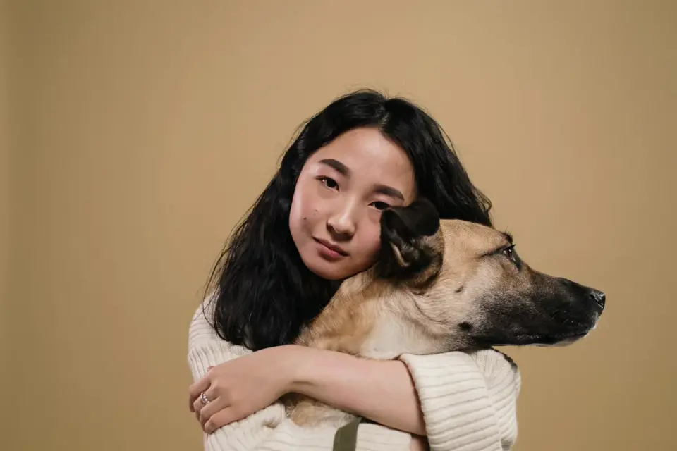 Dog being hugged by owner
