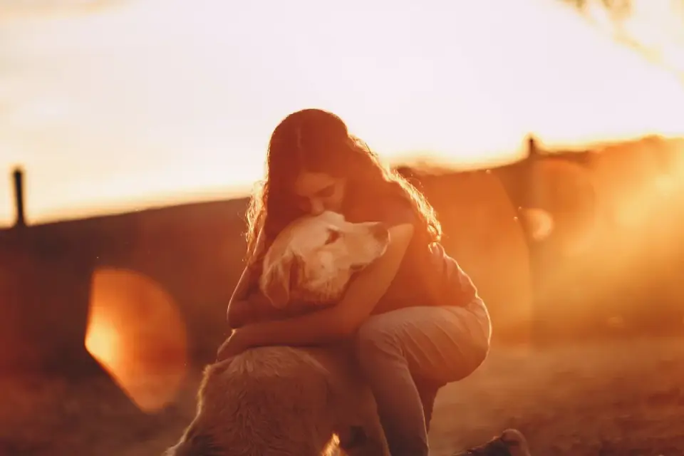 Dog being hugged by owner