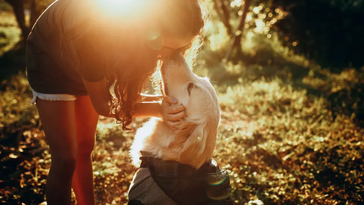 Dog being hugged by owner