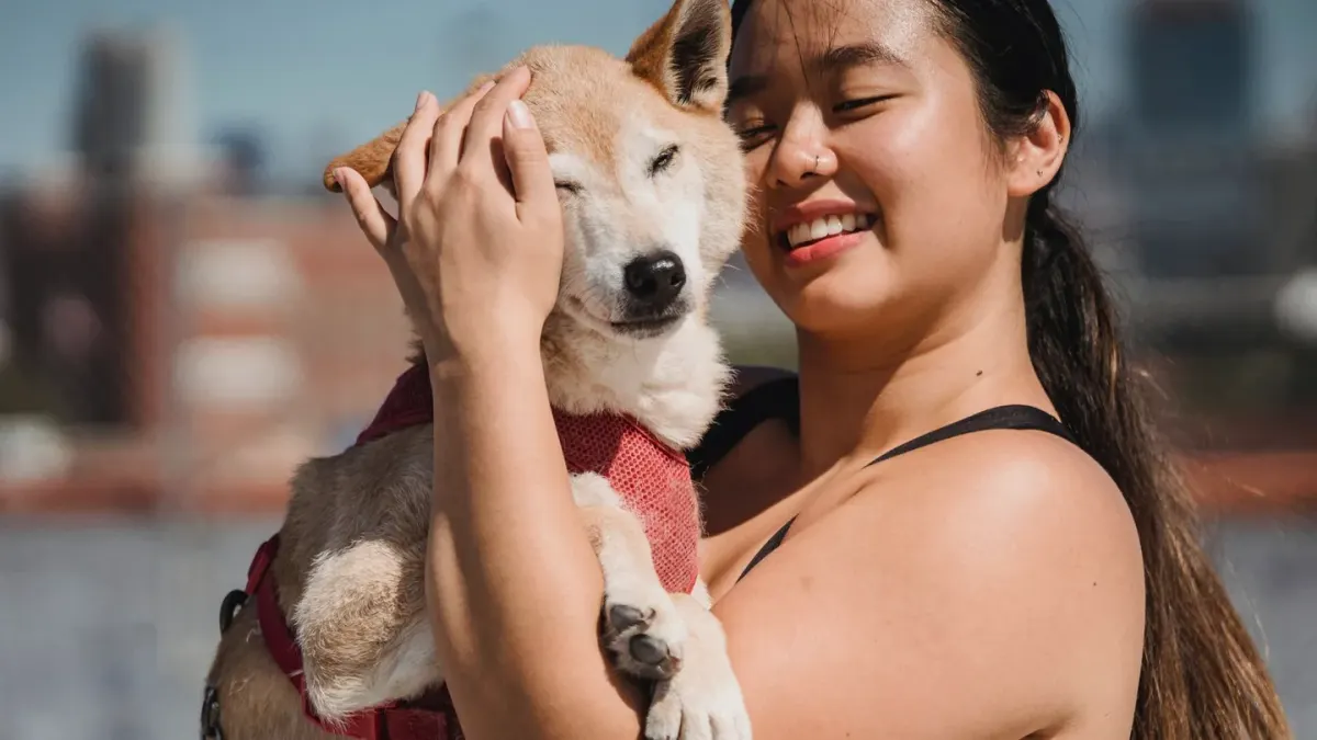 Dog being hugged by owner