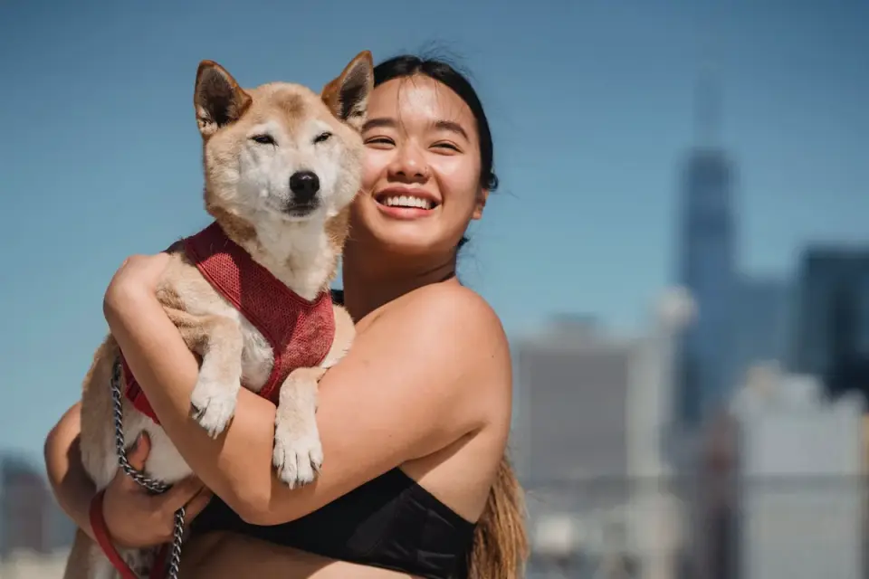 Dog being hugged by owner