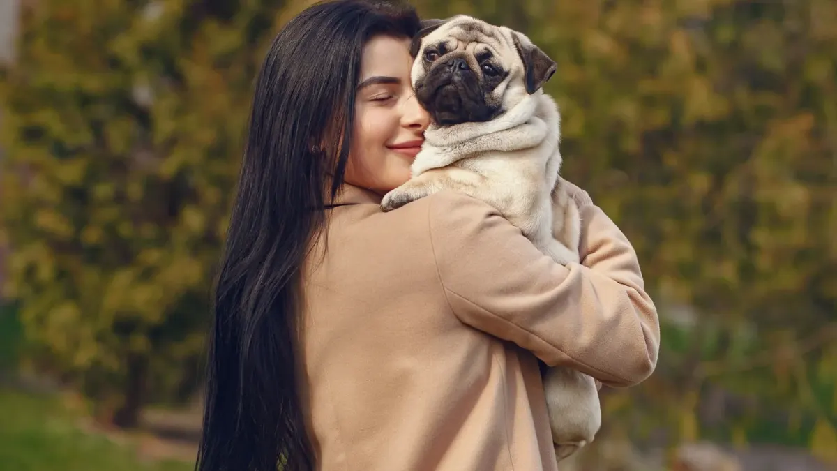 Dog being hugged by owner