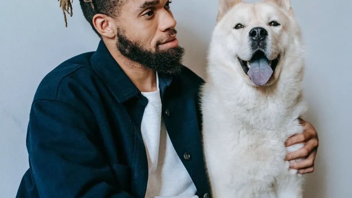 Dog being hugged by owner