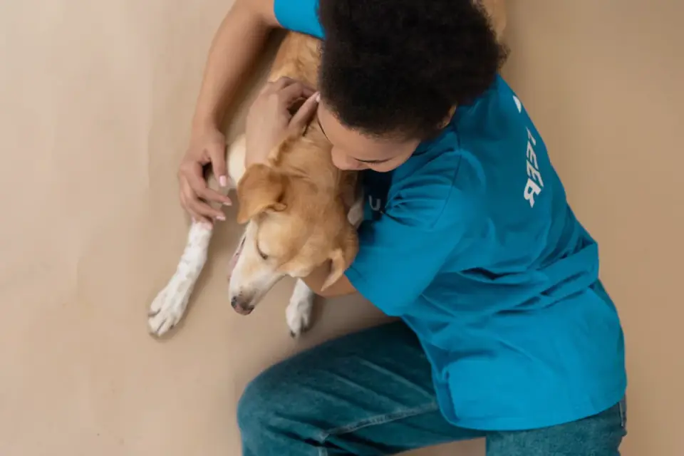 Dog being hugged by owner