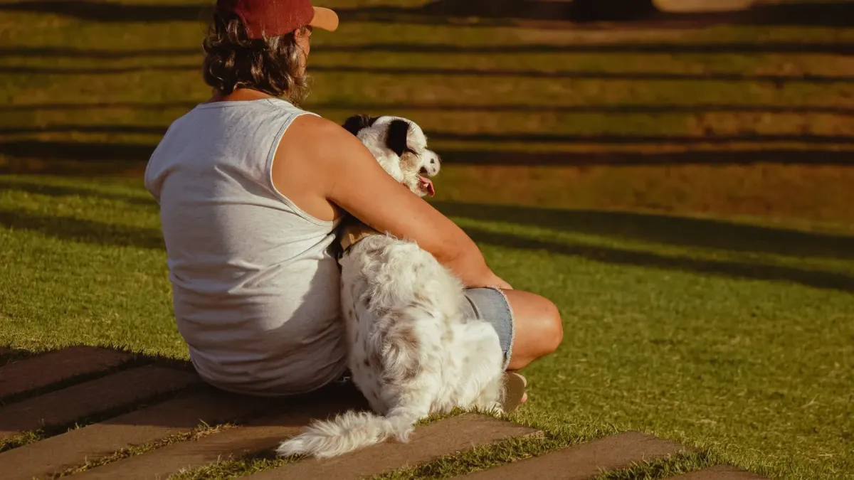 Dog being hugged by owner