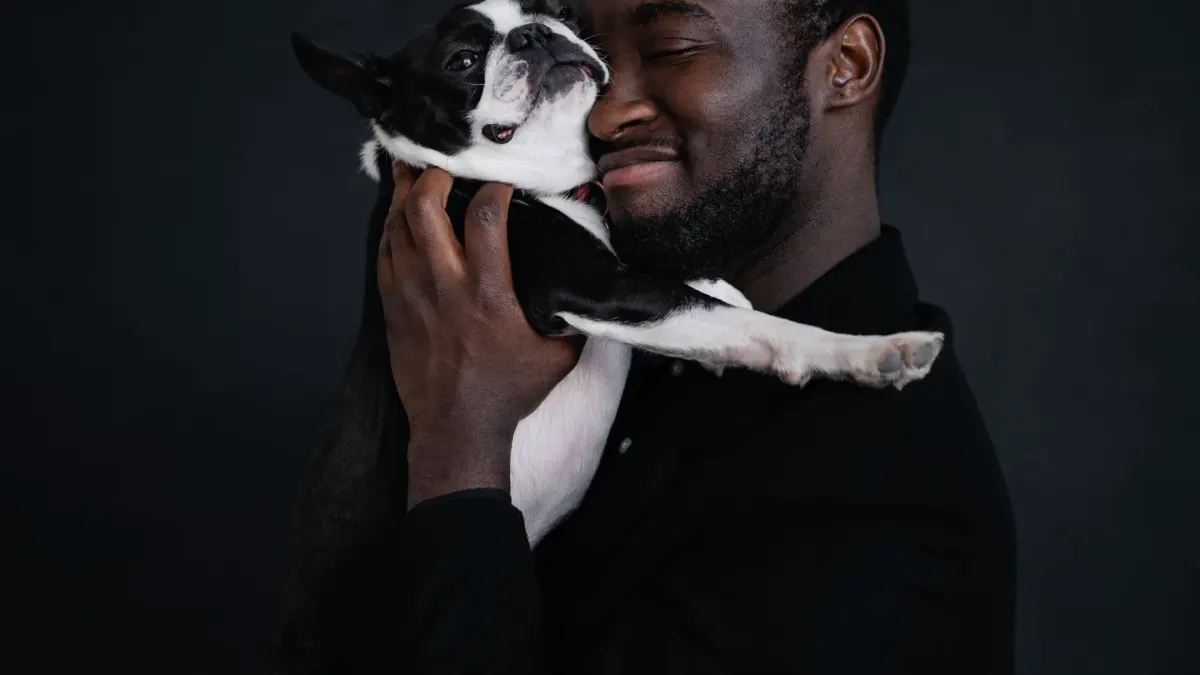 Dog being hugged by owner