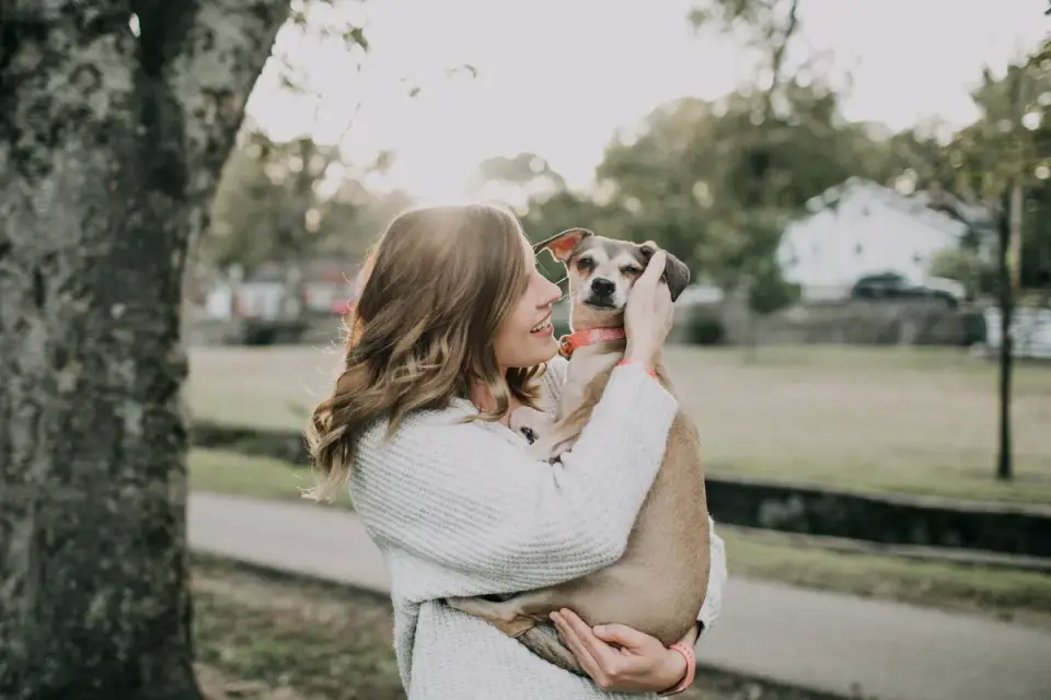 Dog being hugged by owner