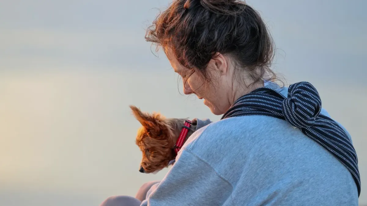 Dog being hugged by owner
