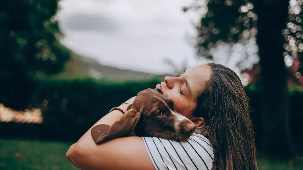 Dog being hugged by owner