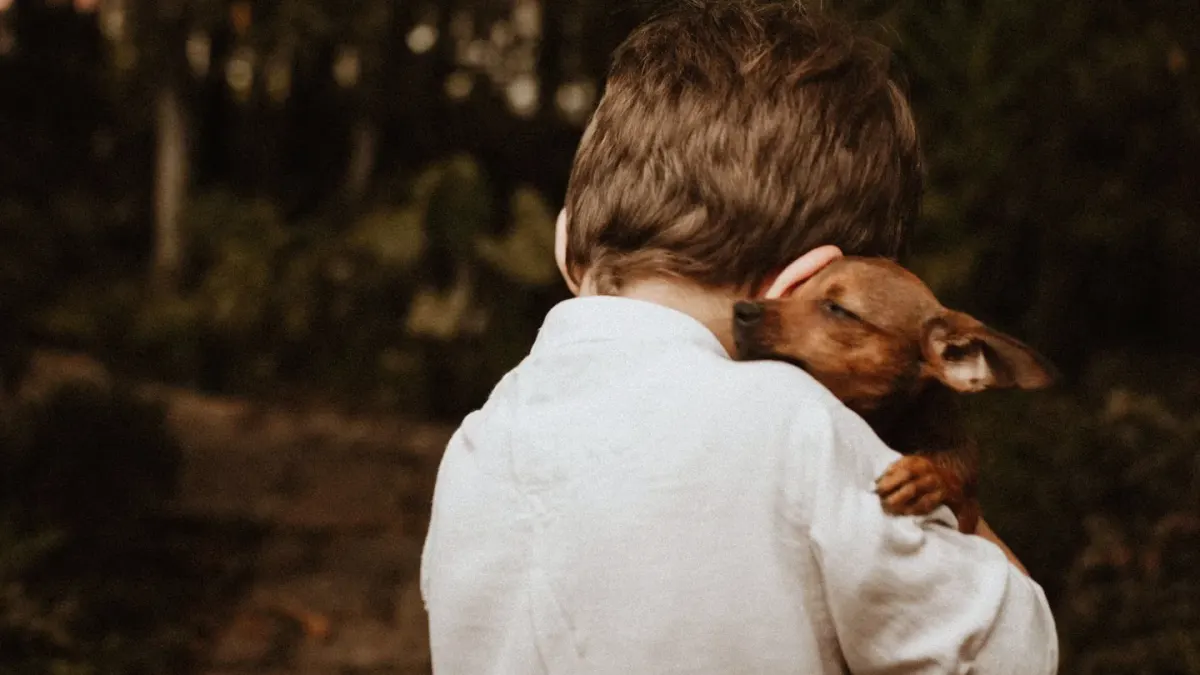 Dog being hugged by owner