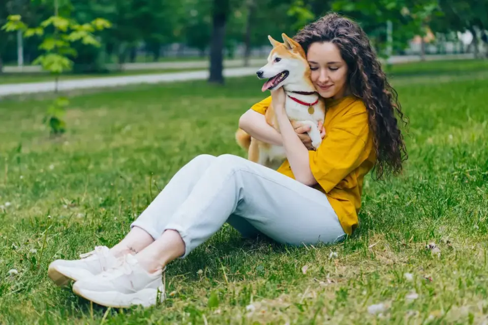 Dog being hugged by owner