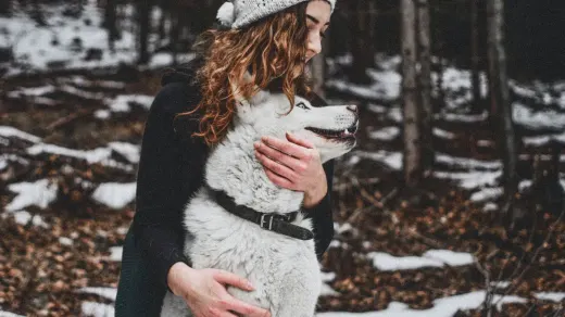 Dog being hugged by owner