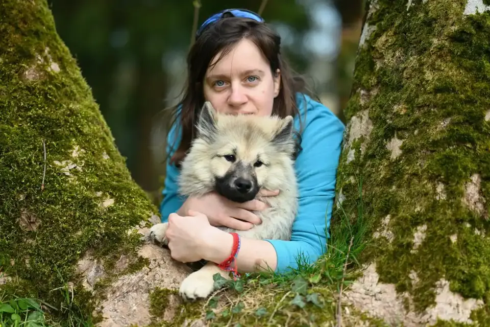 Dog being hugged by owner