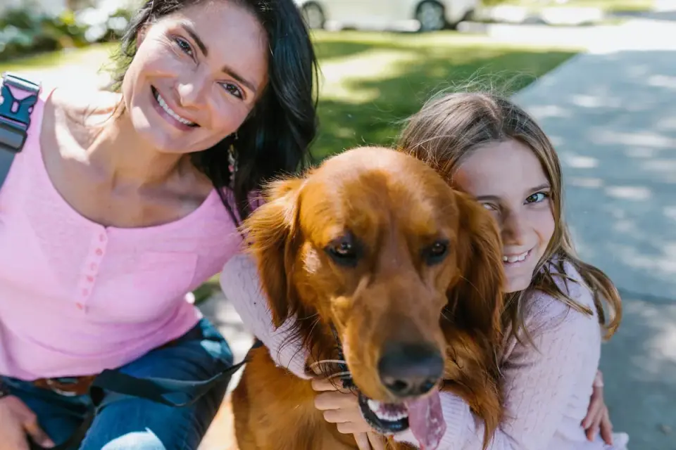 Dog being hugged by owner