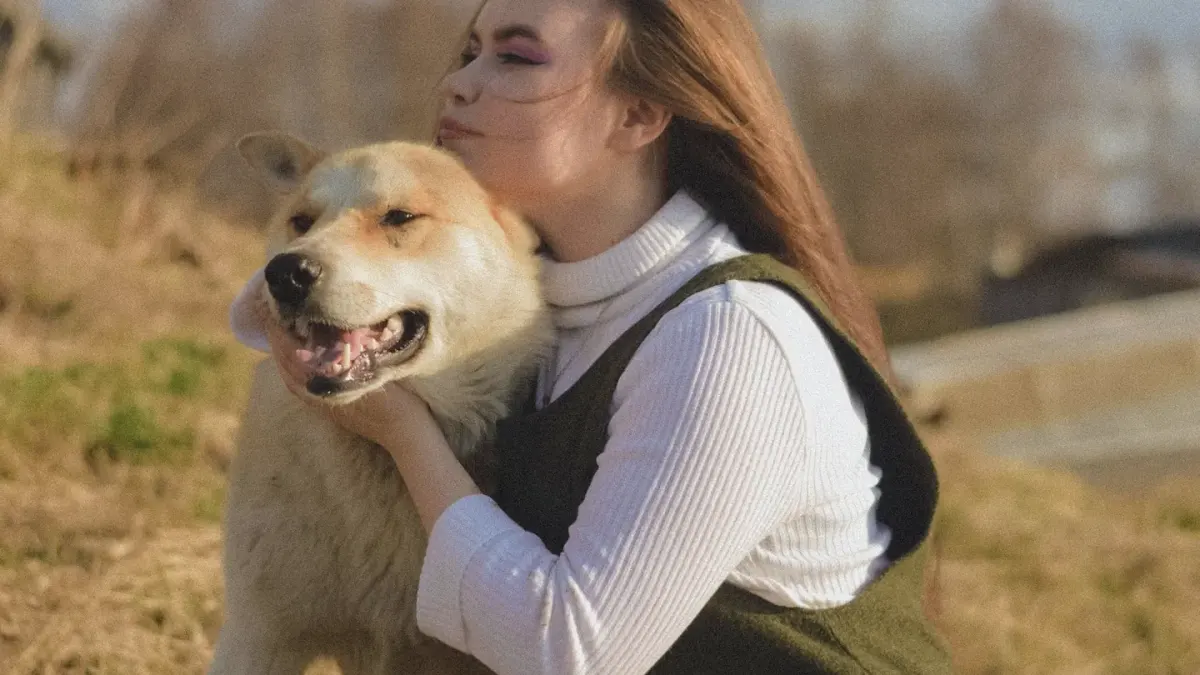 Dog being hugged by owner