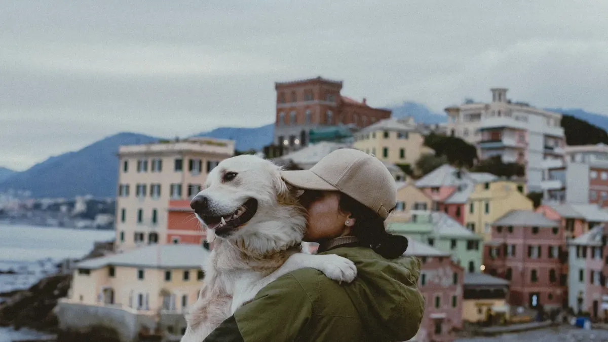Dog being hugged by owner