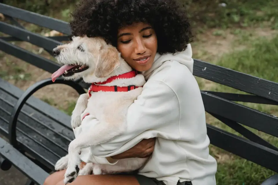 Dog being hugged by owner