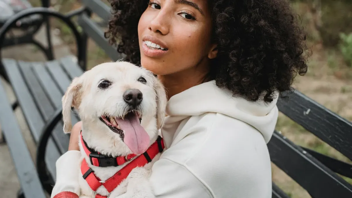 Dog being hugged by owner
