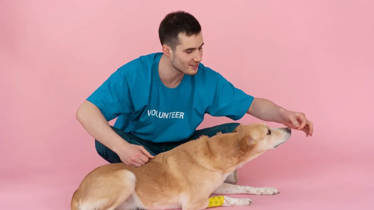 Dog giving a paw