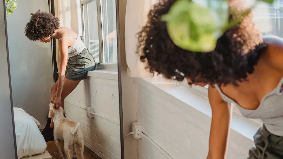 Dog in a doorway