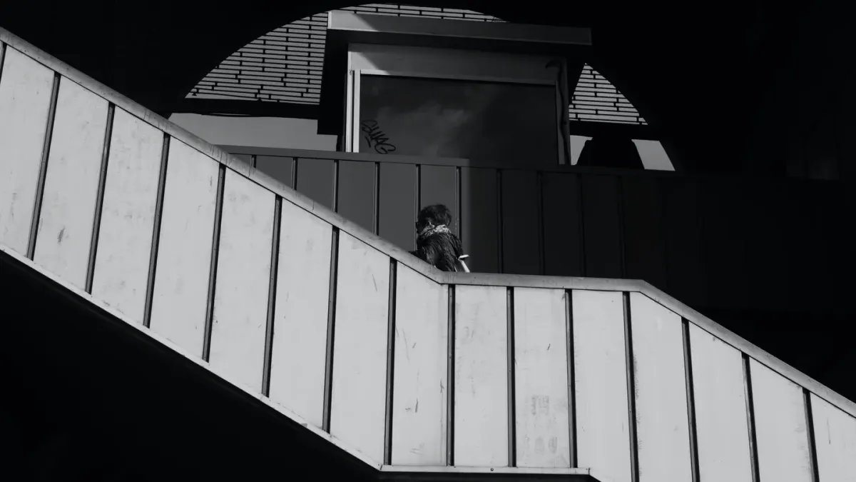 Dog in a doorway